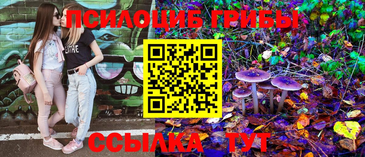 Галлюциногенные грибы прущие грибы Ставрополь