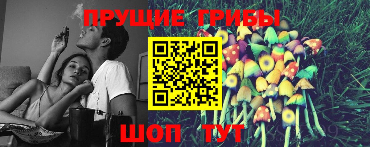 Галлюциногенные грибы MAGIC MUSHROOMS  Вход с VPN  Ставрополь 